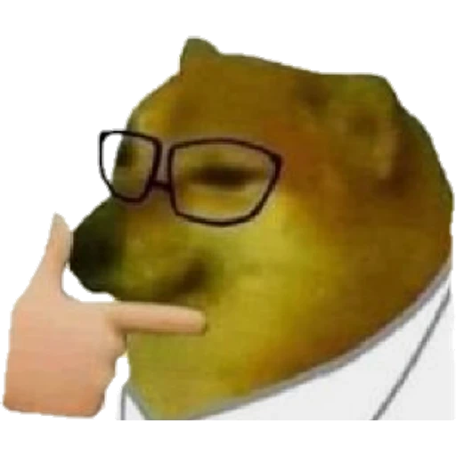 Cheems