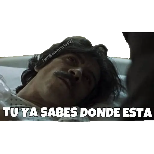 LUIS MIGUEL (LA SERIE) 
