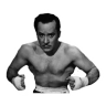 tray-icon