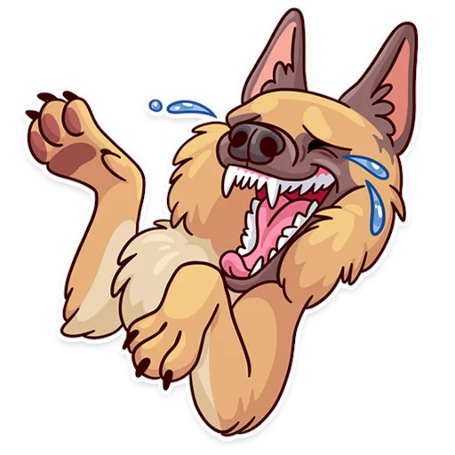 Dogs Memes preview