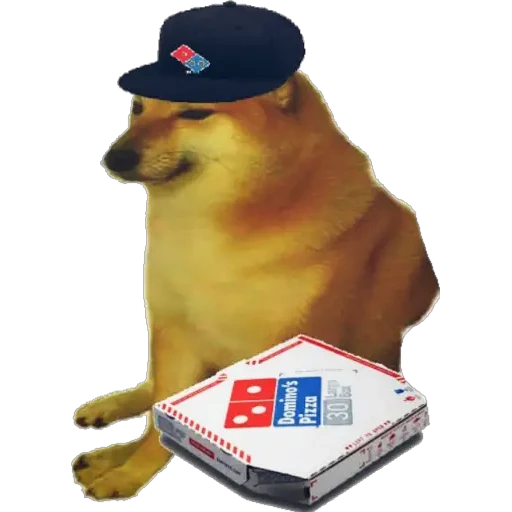 El cheems