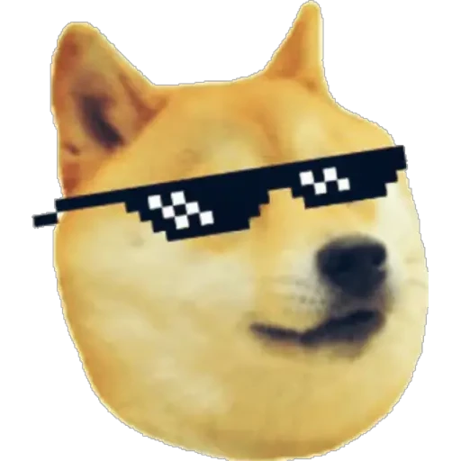 El cheems