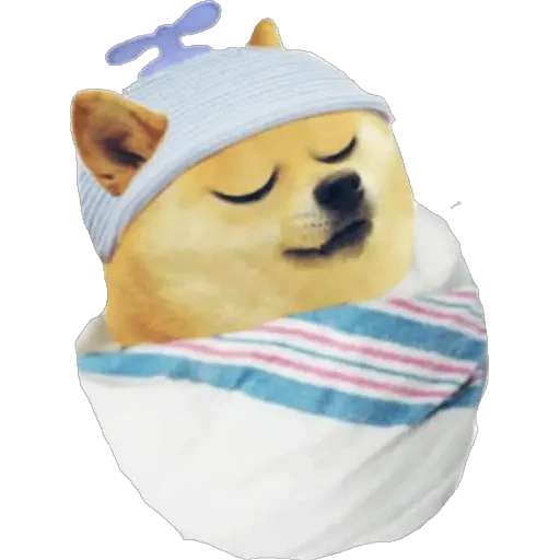El cheems