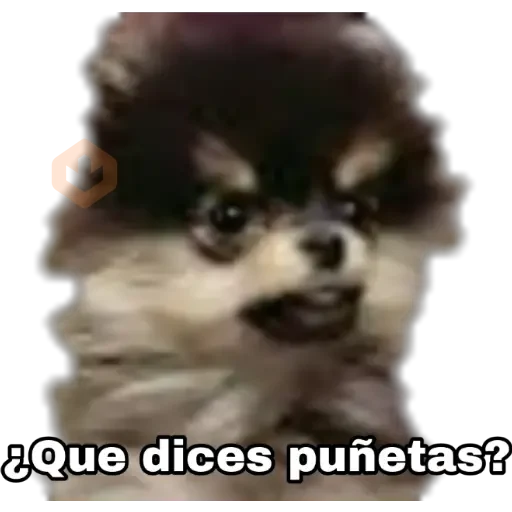 Yeontan sticker 30
