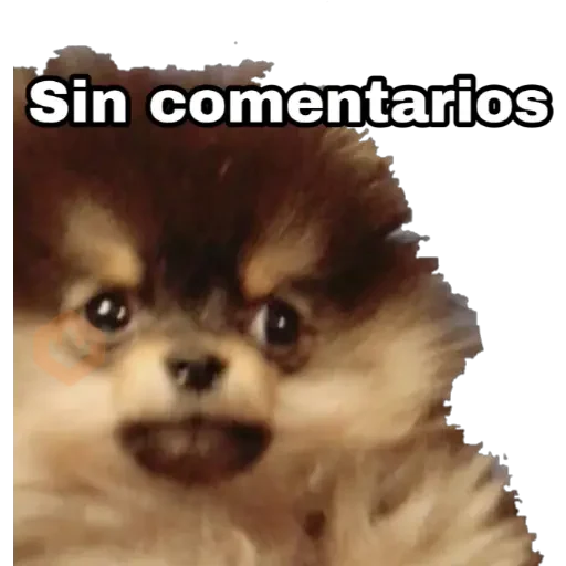 Yeontan sticker 20