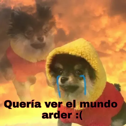 Yeontan sticker 29