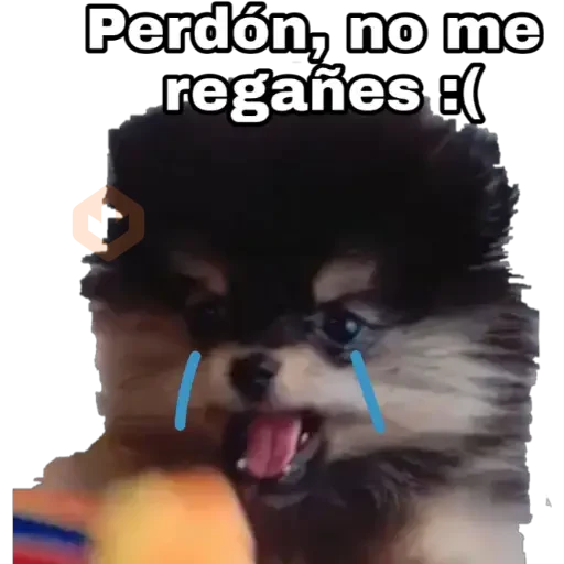 Yeontan sticker 13