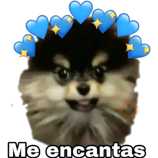 Yeontan sticker 21