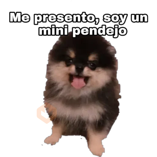 Yeontan sticker 27