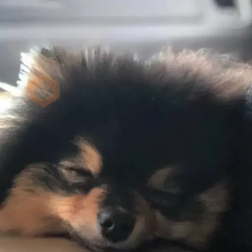 Yeontan sticker 16
