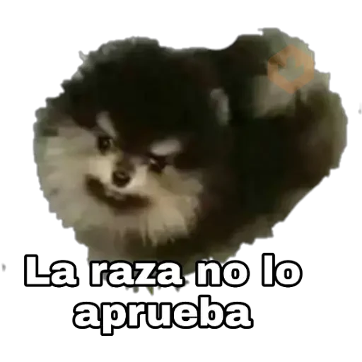 Yeontan sticker 23