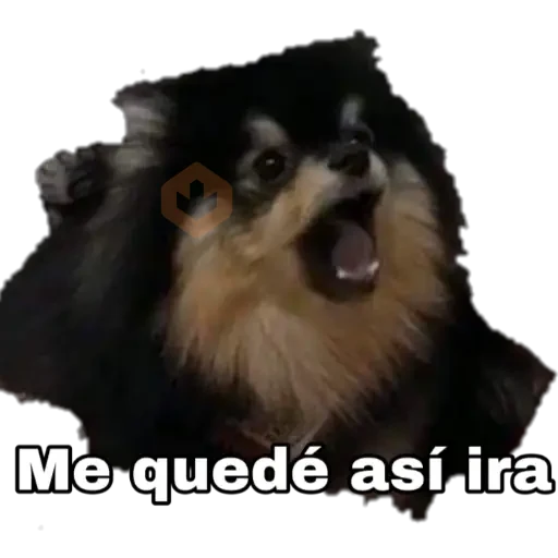 Yeontan sticker 19