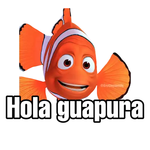 Buscando a Nemo 