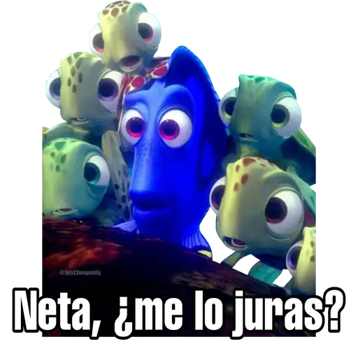 Buscando a Nemo 