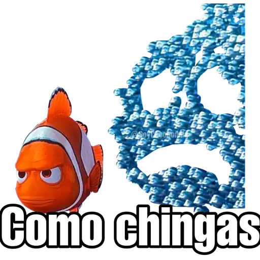 Buscando a Nemo 