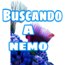 Buscando a Nemo 