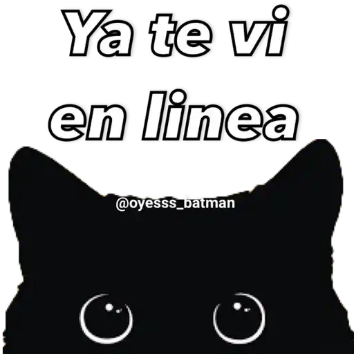 gatitus y perritus