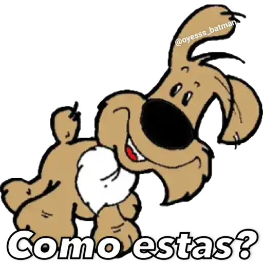gatitus y perritus