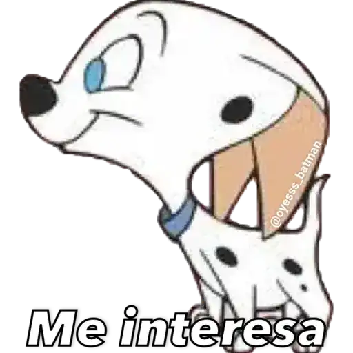 gatitus y perritus