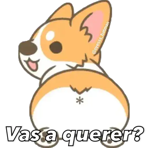 gatitus y perritus