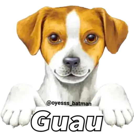 gatitus y perritus preview