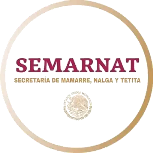 Logotipos🤙 
