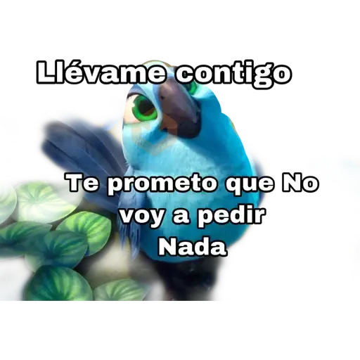 rio pelicla sticker 24