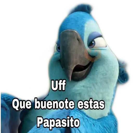 rio pelicla sticker 26