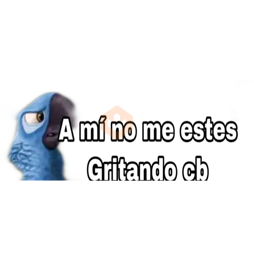 rio pelicla sticker 25