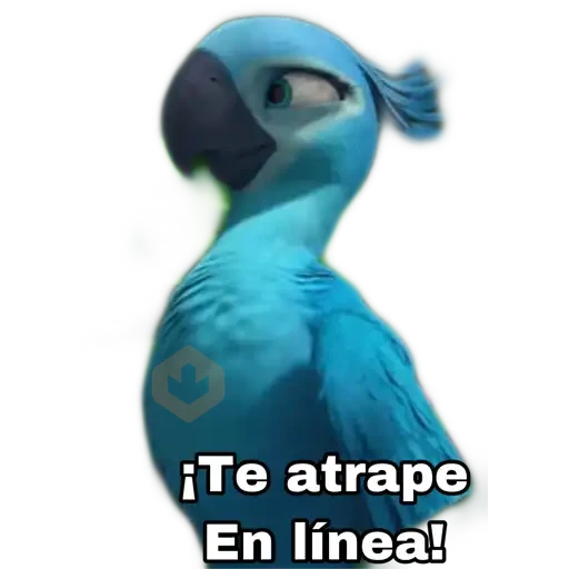 rio pelicla sticker 22