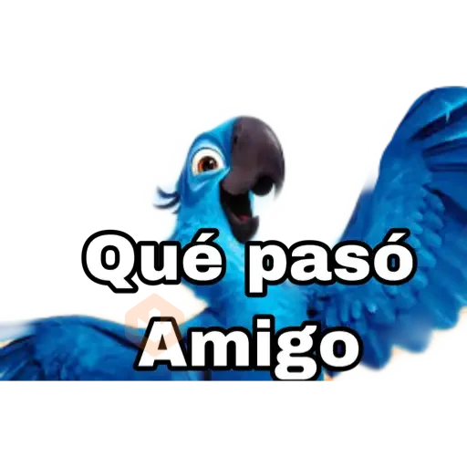 rio pelicla sticker 29