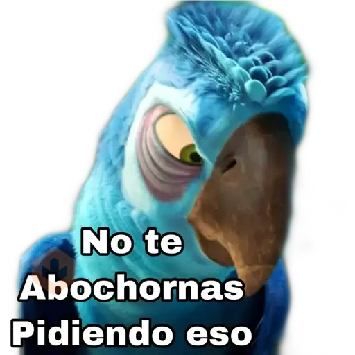 rio pelicla sticker 13