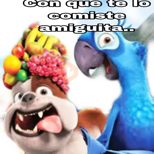 rio pelicla sticker 16