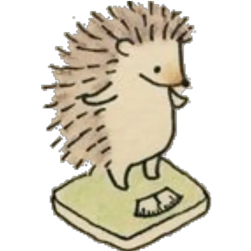 STICKERS ERIZOS 1 