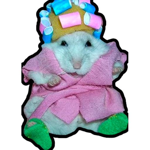 Hamsters Memes