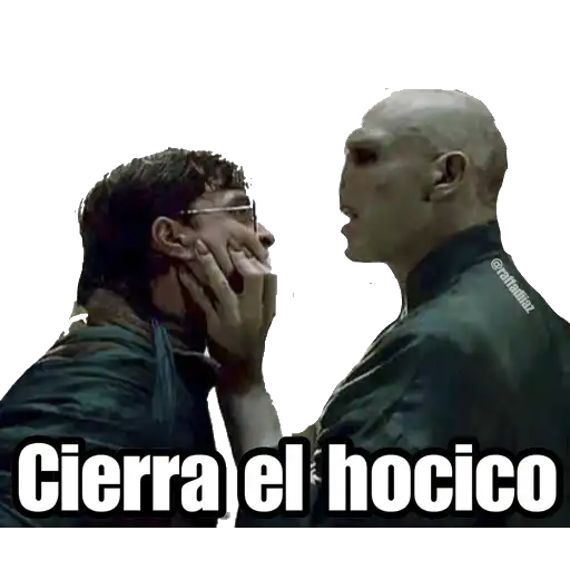 Harry Potter
