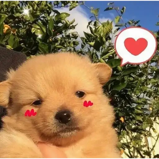 hearts