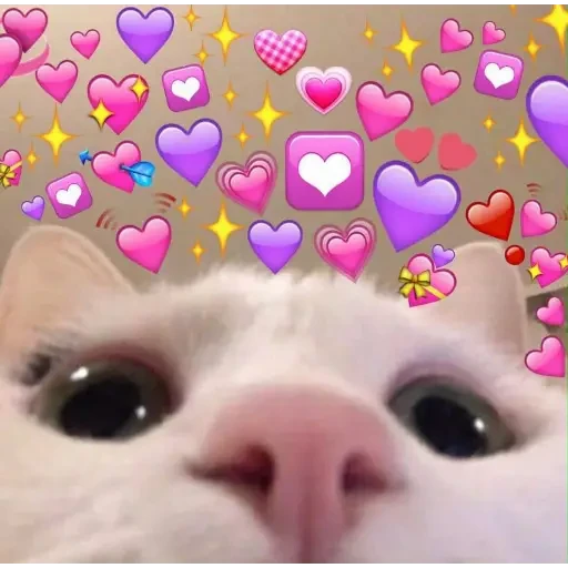 hearts