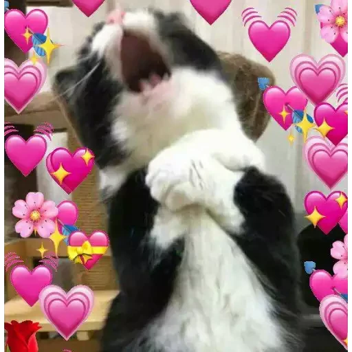 hearts