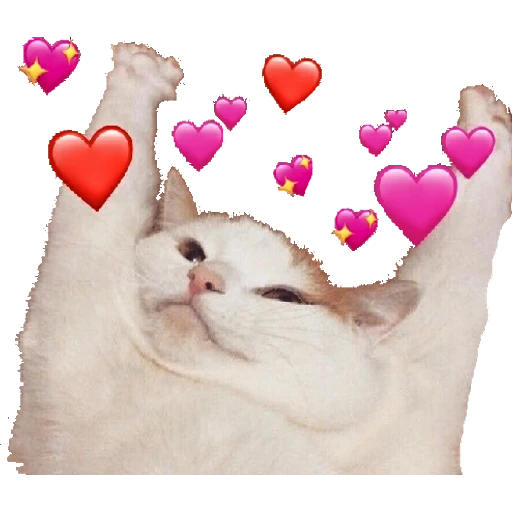 hearts