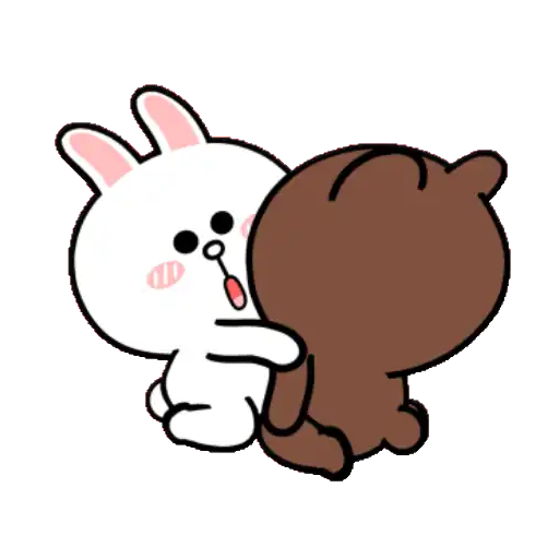 HyperRabbit x BROWN & FRIENDS
