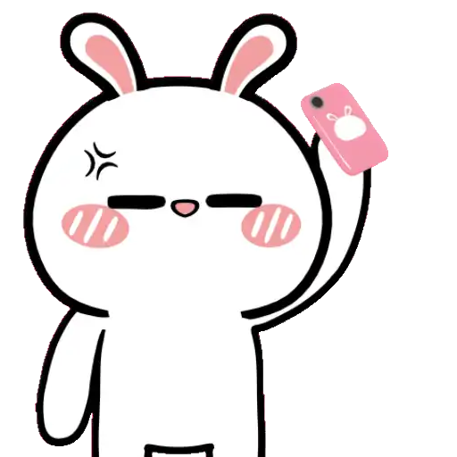HyperRabbit 1