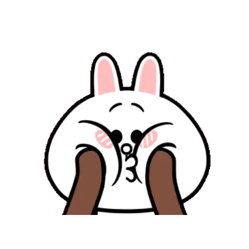 HyperRabbit x BROWN & FRIENDS 2