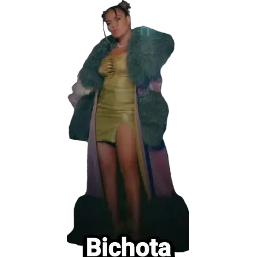 Karol G - Bichota