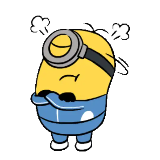 LINE FRIENDS & MINIONS
