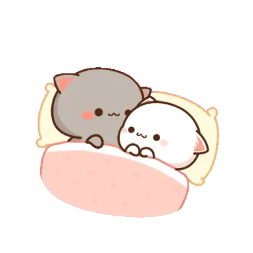 LOVE KITTEN