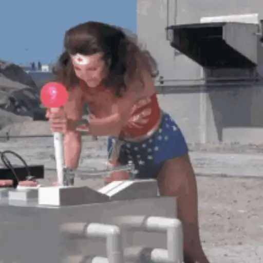 Linda Carter Mov 2