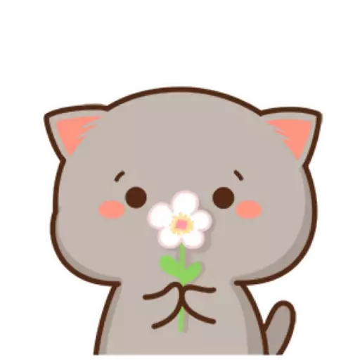 Mochi Peach Cat extra #E Mov