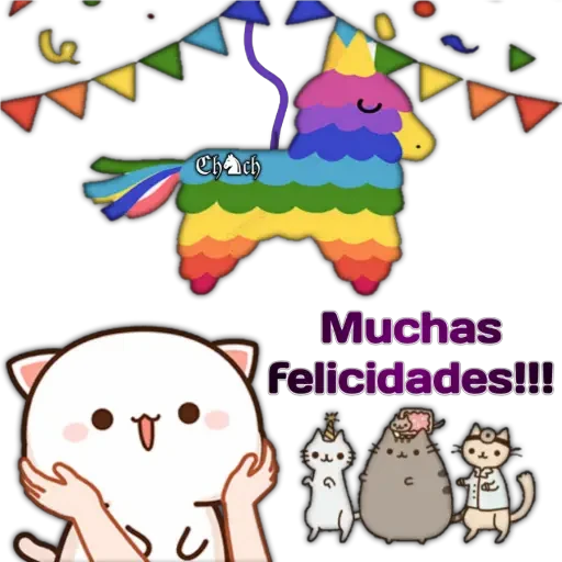 Mochi cumpleaños #1