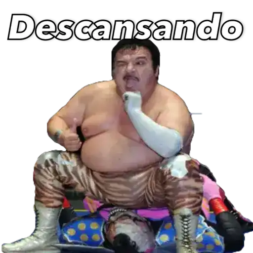 Nacho libre Lucha libre